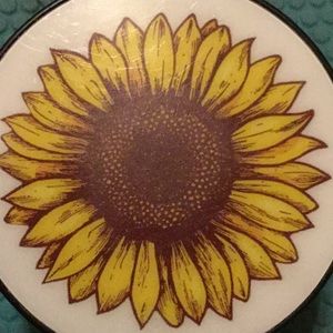 Meet your Posher, Teyah